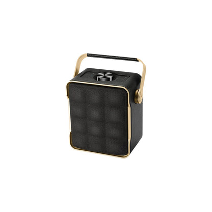 Speaker With Metallic Handle