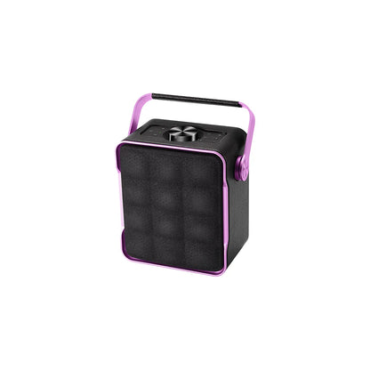 Speaker With Metallic Handle